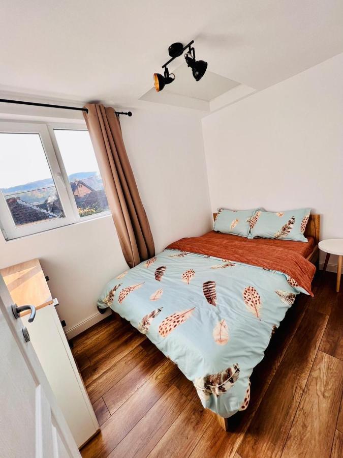Master Adventure Guest House Vadu Crisului Exterior foto